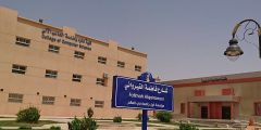 تخصصات جامعة حائل والنسب المطلوبة