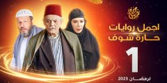 ابطال مسلسل حارة شوف ويكيبيديا